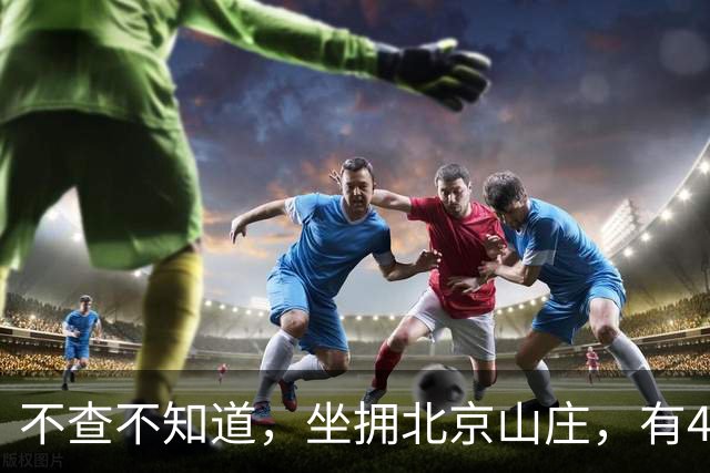 不查不知道，坐拥北京山庄，有4个孙子孙女的陈佩斯，私下有多壕
